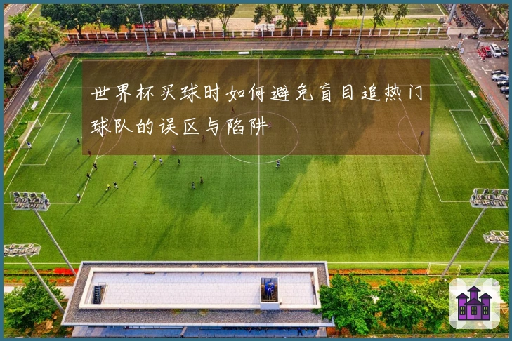 世界杯买球时如何避免盲目追热门球队的误区与陷阱
