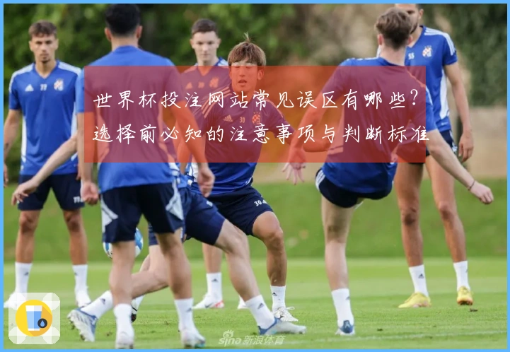 世界杯投注网站常见误区有哪些？选择前必知的注意事项与判断标准