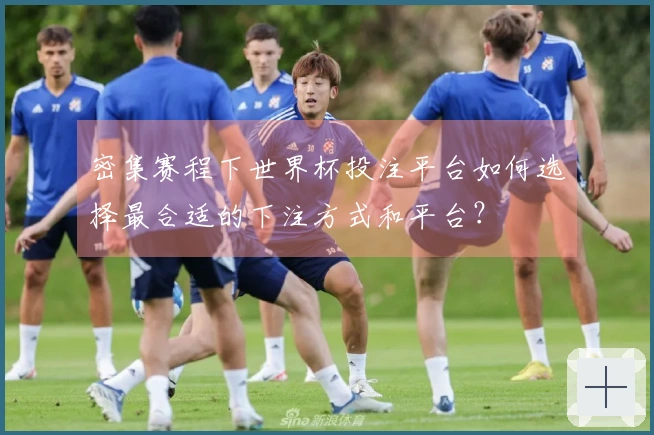 密集赛程下世界杯投注平台如何选择最合适的下注方式和平台？