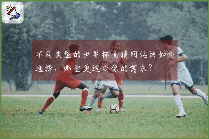 不同类型的世界杯竞猜网站该如何选择，哪些更适合你的需求？