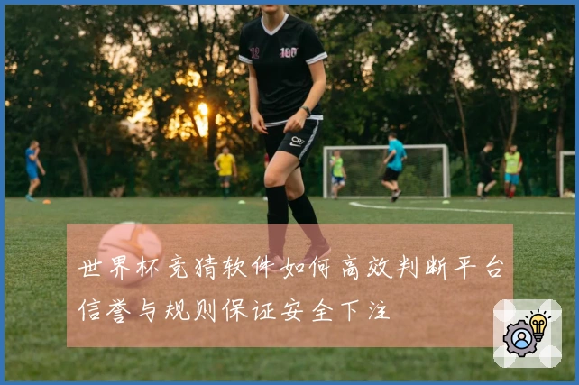 世界杯竞猜软件如何高效判断平台信誉与规则保证安全下注