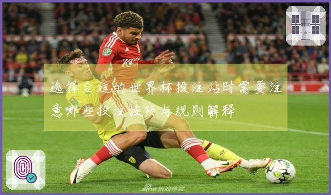 选择合适的世界杯投注站时需要注意哪些投注技巧与规则解释