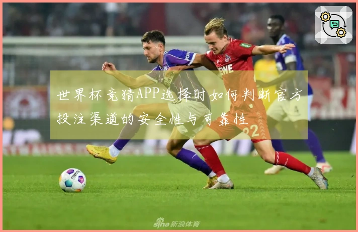 世界杯竞猜APP选择时如何判断官方投注渠道的安全性与可靠性
