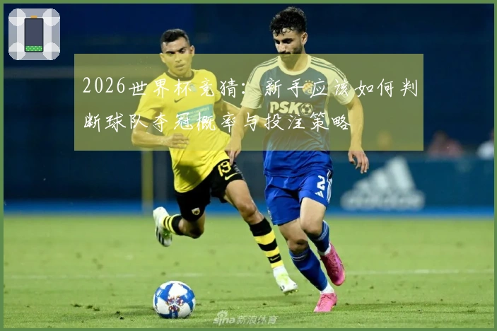 2026世界杯竞猜：新手应该如何判断球队夺冠概率与投注策略