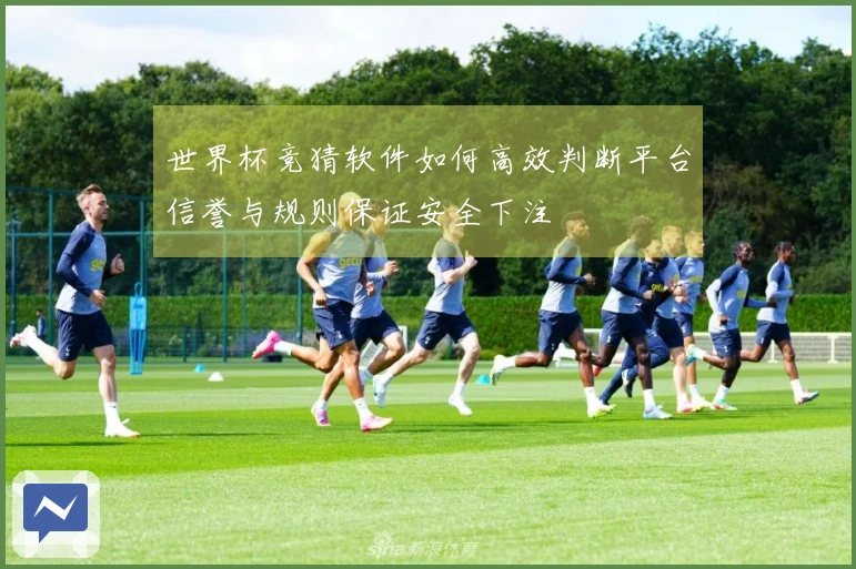 世界杯竞猜软件如何高效判断平台信誉与规则保证安全下注