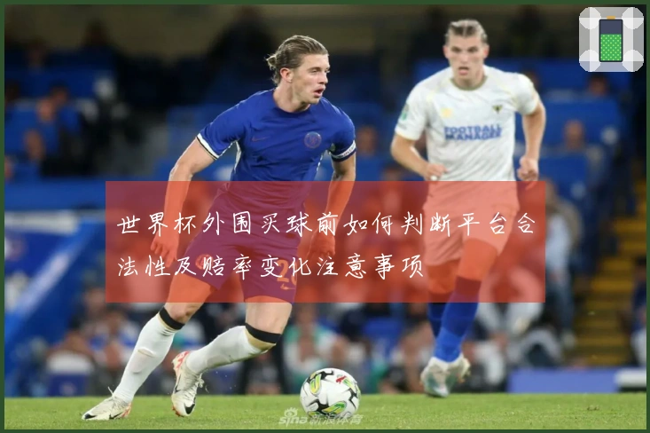 世界杯外围买球前如何判断平台合法性及赔率变化注意事项